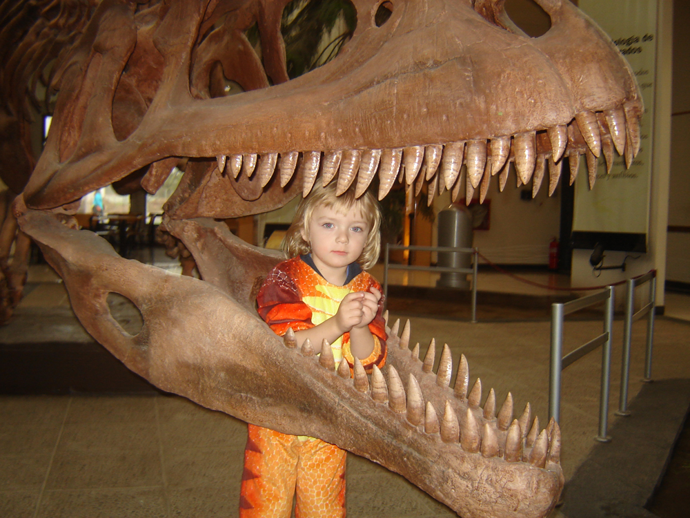 "Dinosaur Teeth What teeth! used to eat World´s Largest